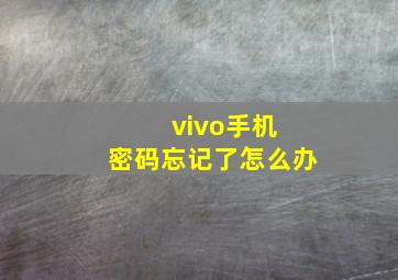 vivo手机 密码忘记了怎么办